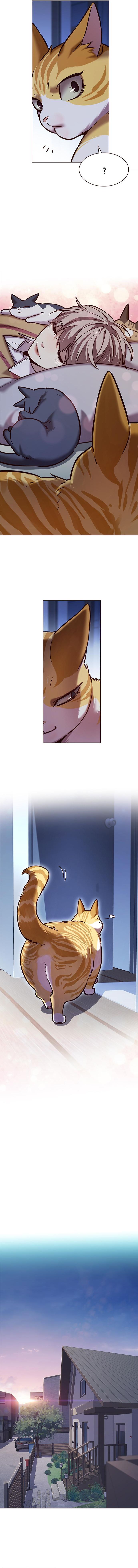 Eleceed Manhwa - Chapter 229 Page 10