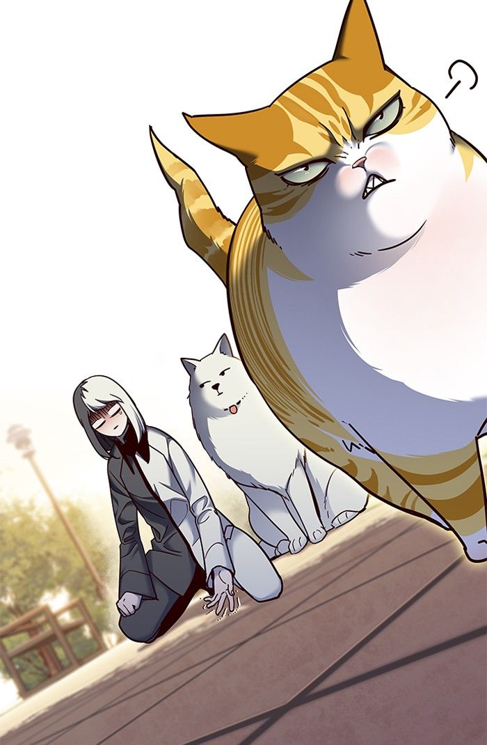 Eleceed Manhwa - Chapter 81 Page 1