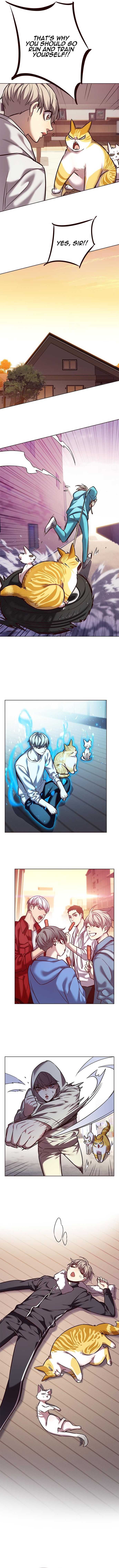 Eleceed Manhwa - Chapter 239 Page 9