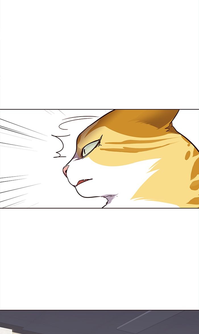 Eleceed Manhwa - Chapter 28 Page 19