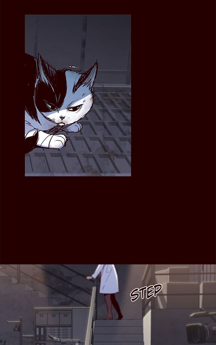 Eleceed Manhwa - Chapter 36 Page 14