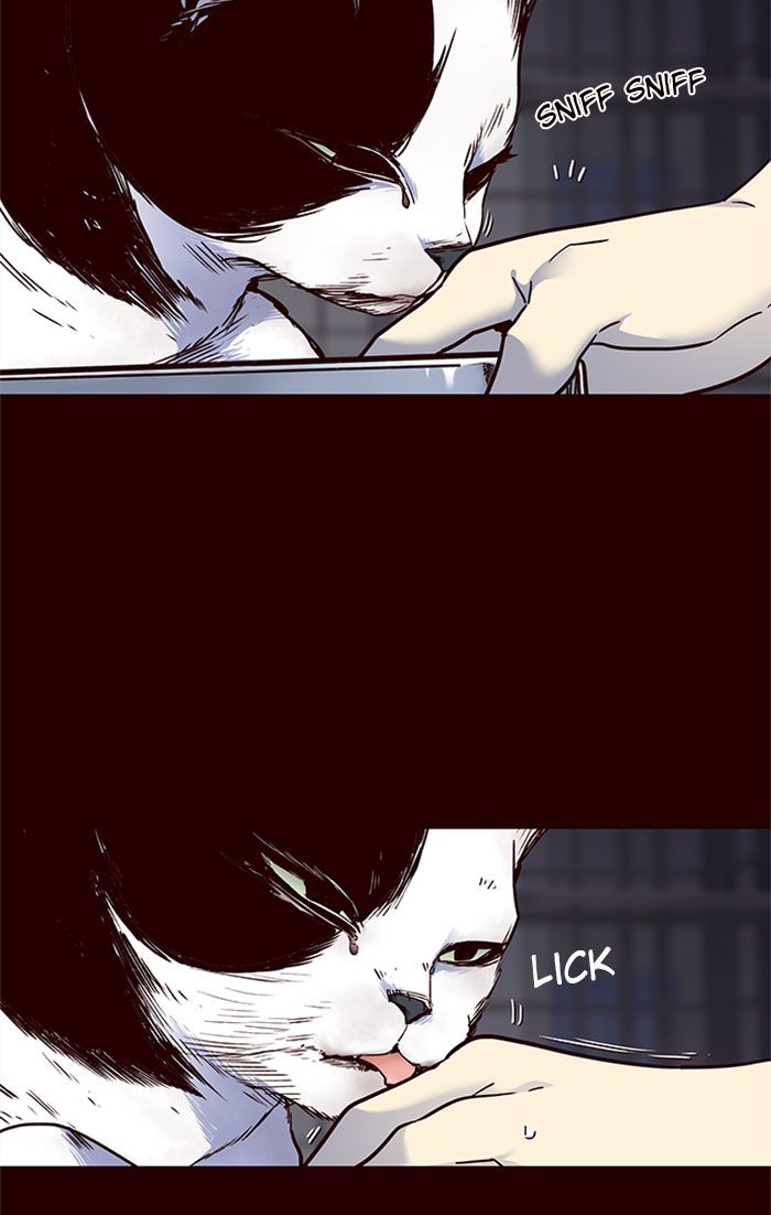 Eleceed Manhwa - Chapter 36 Page 19