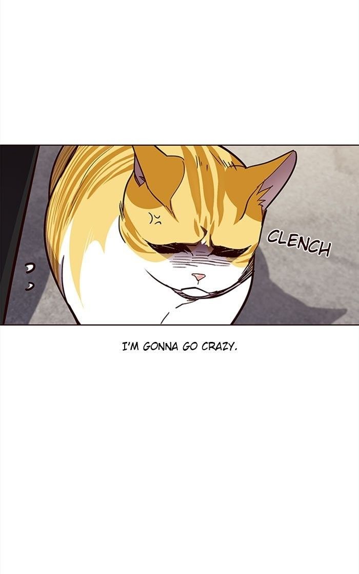 Eleceed Manhwa - Chapter 36 Page 81