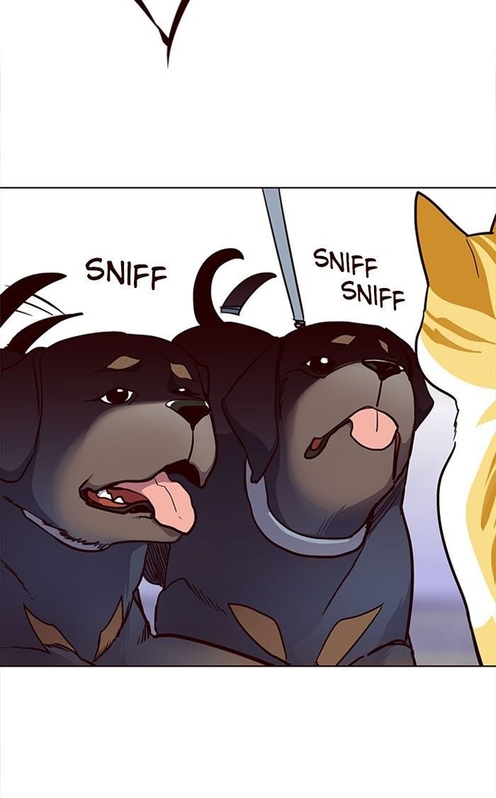 Eleceed Manhwa - Chapter 36 Page 94