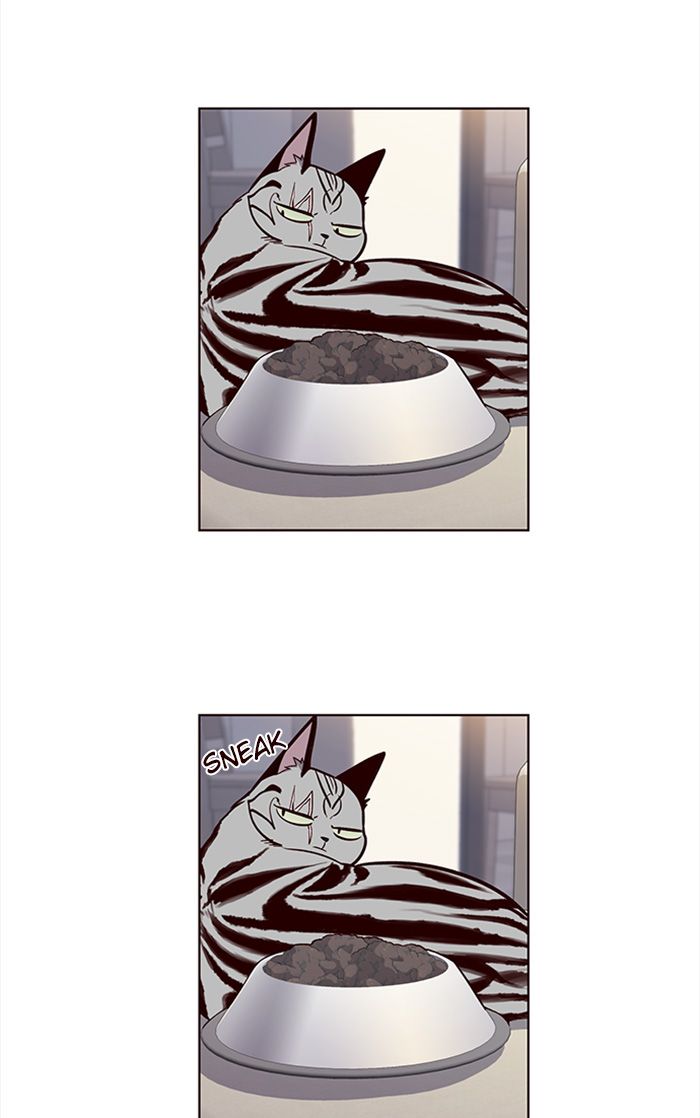 Eleceed Manhwa - Chapter 22 Page 25