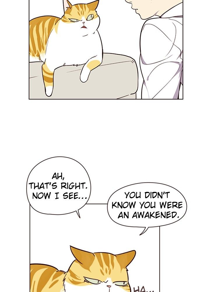 Eleceed Manhwa - Chapter 4 Page 33