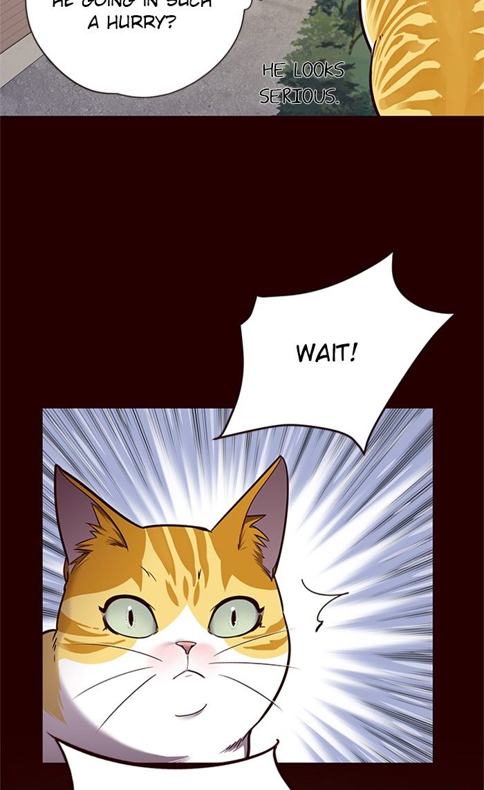 Eleceed Manhwa - Chapter 52 Page 39