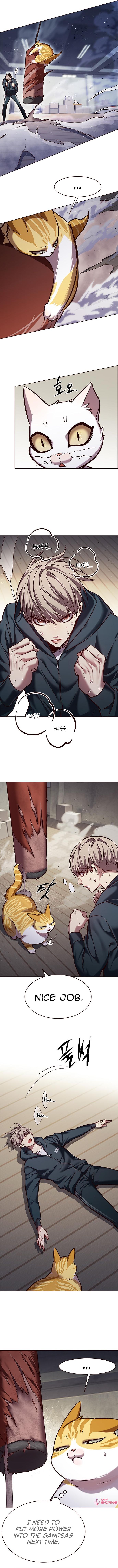 Eleceed Manhwa - Chapter 241 Page 5