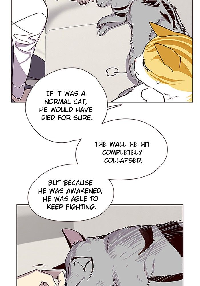 Eleceed Manhwa - Chapter 6 Page 7