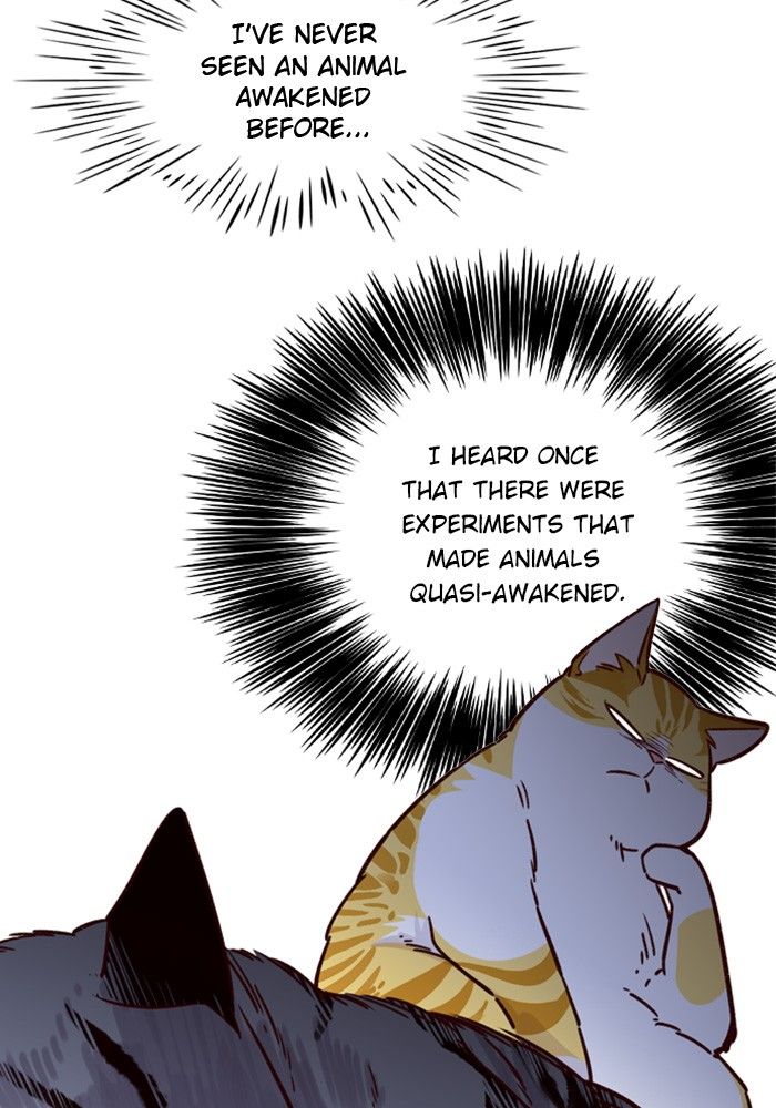 Eleceed Manhwa - Chapter 6 Page 11