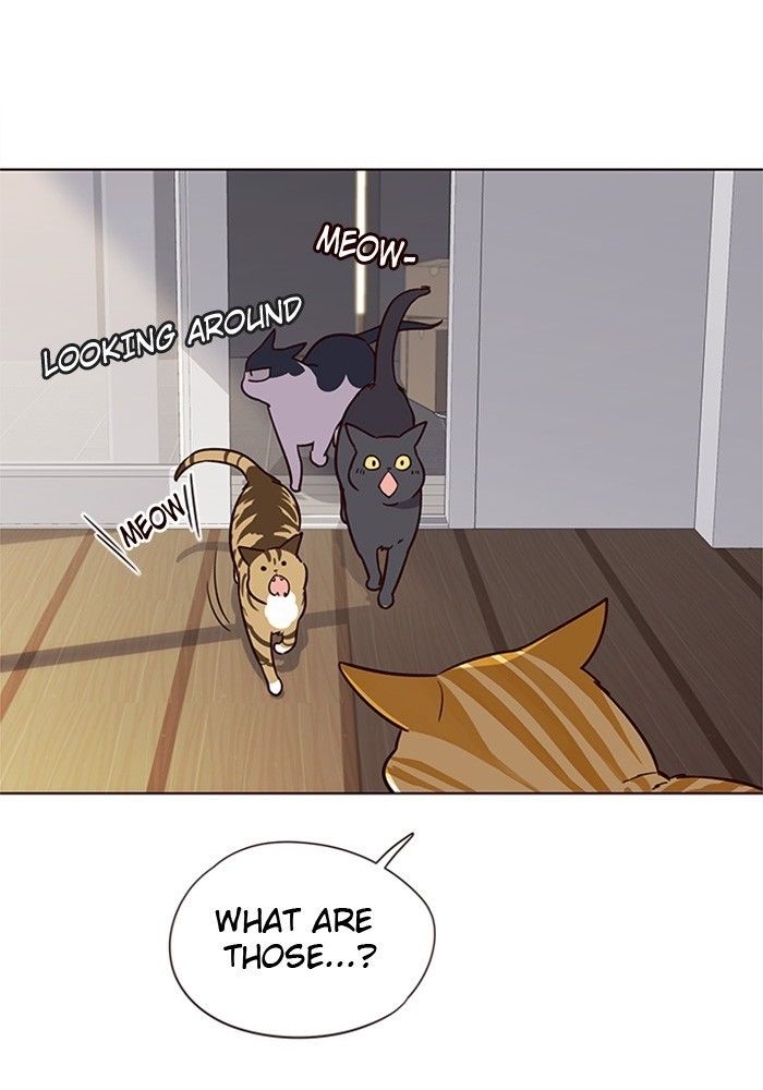 Eleceed Manhwa - Chapter 6 Page 61