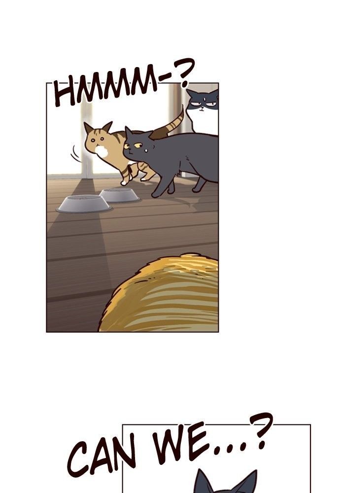 Eleceed Manhwa - Chapter 6 Page 74