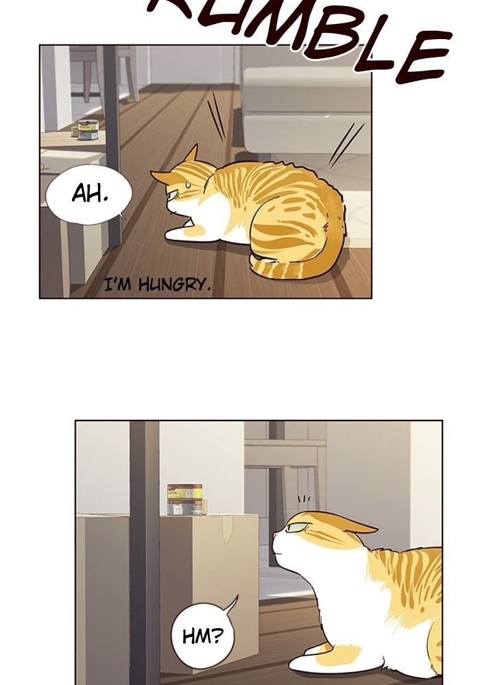 Eleceed Manhwa - Chapter 6 Page 78