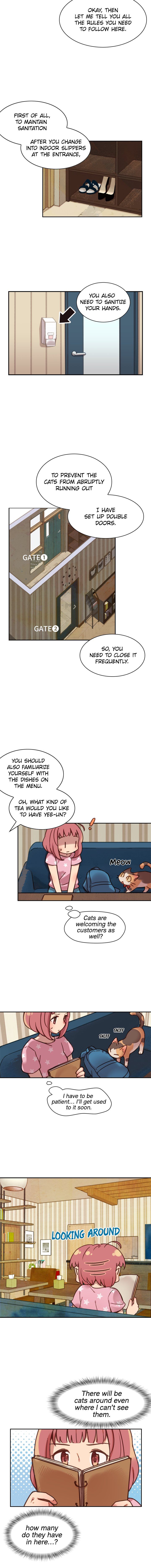 INVITED TO THE CAT CAFÉ Manhwa - Chapter 3 Page 4