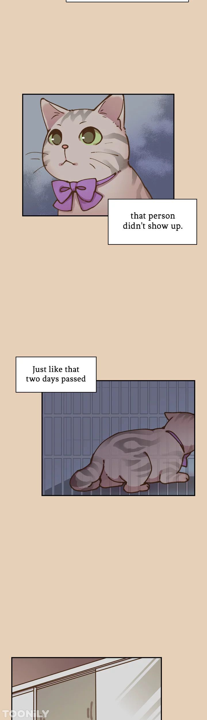 INVITED TO THE CAT CAFÉ Manhwa - Chapter 43 Page 13