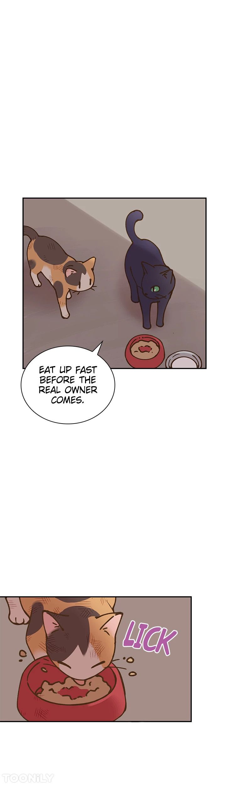 INVITED TO THE CAT CAFÉ Manhwa - Chapter 50 Page 10
