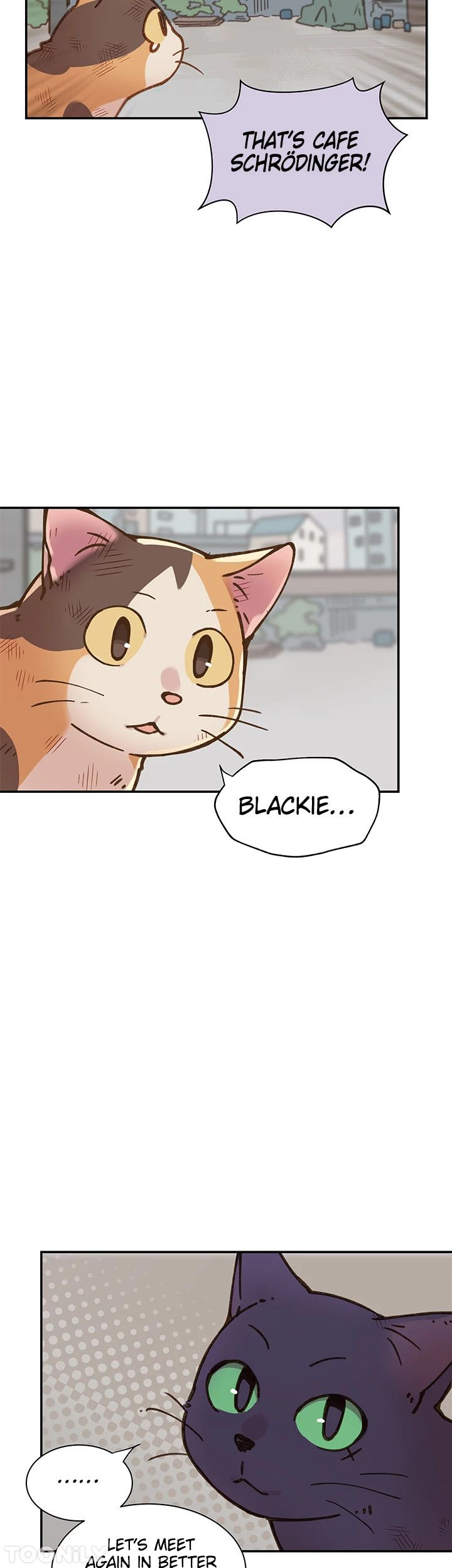 INVITED TO THE CAT CAFÉ Manhwa - Chapter 50 Page 16