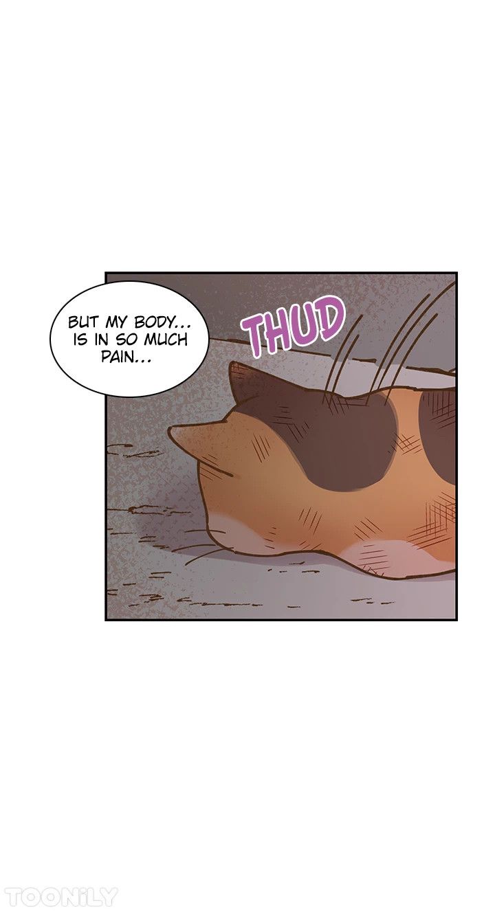 INVITED TO THE CAT CAFÉ Manhwa - Chapter 50 Page 18