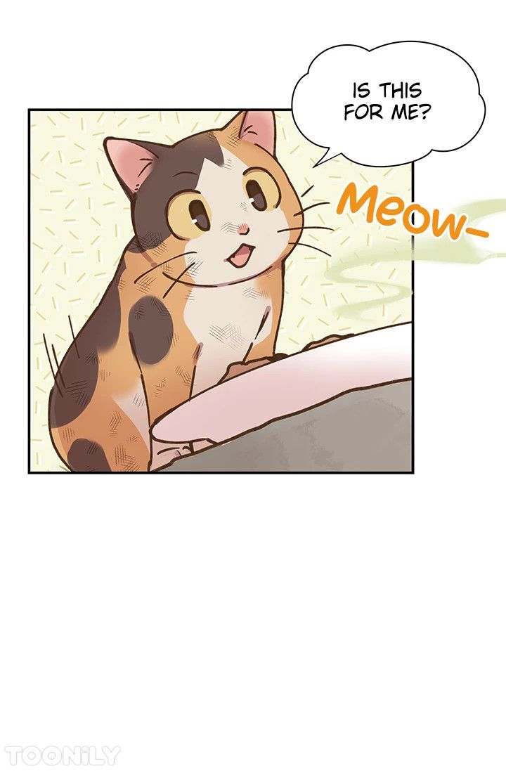 INVITED TO THE CAT CAFÉ Manhwa - Chapter 50 Page 1