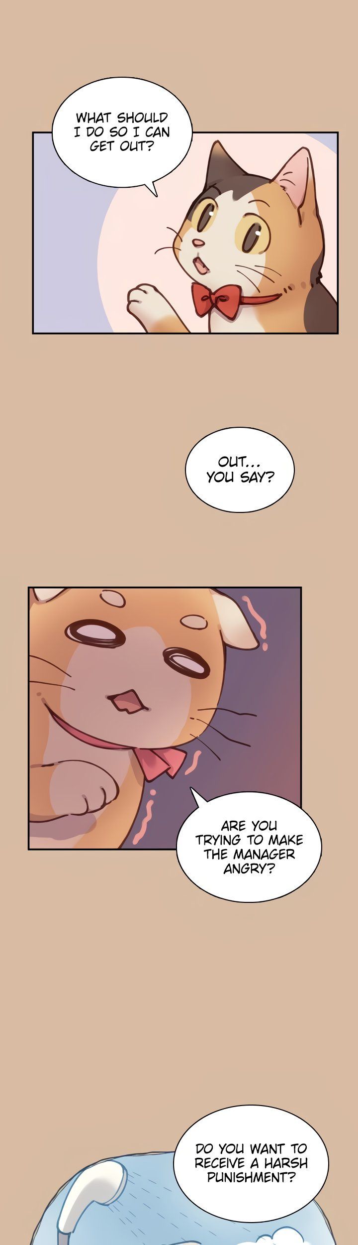 INVITED TO THE CAT CAFÉ Manhwa - Chapter 31 Page 15