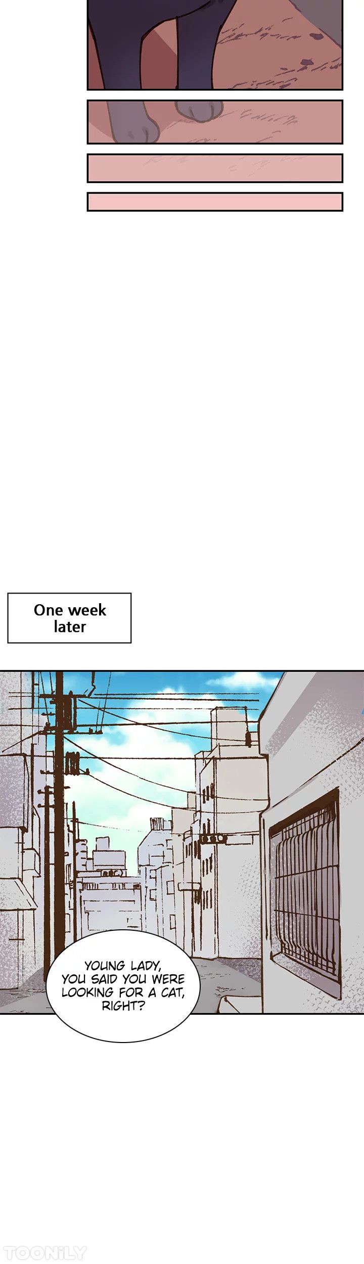 INVITED TO THE CAT CAFÉ Manhwa - Chapter 49 Page 18