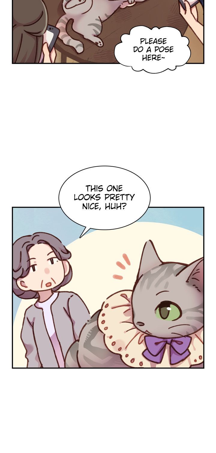 INVITED TO THE CAT CAFÉ Manhwa - Chapter 25 Page 9
