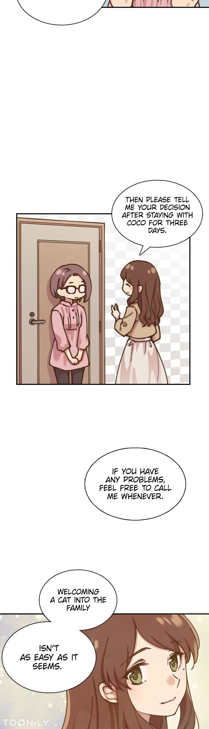 INVITED TO THE CAT CAFÉ Manhwa - Chapter 45 Page 8