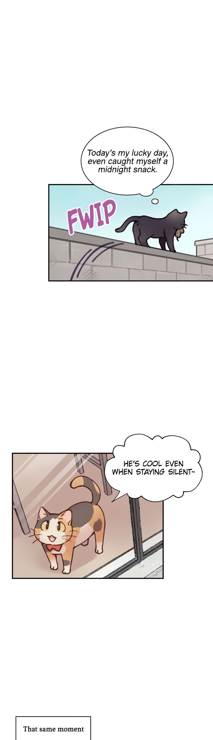 INVITED TO THE CAT CAFÉ Manhwa - Chapter 33 Page 3