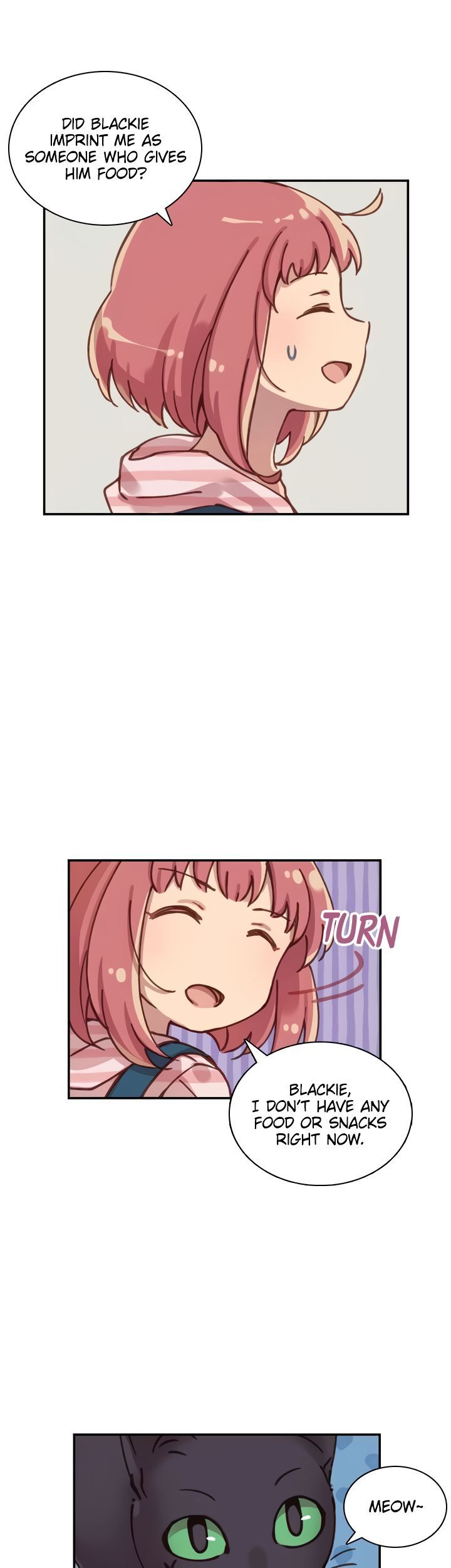 INVITED TO THE CAT CAFÉ Manhwa - Chapter 33 Page 17