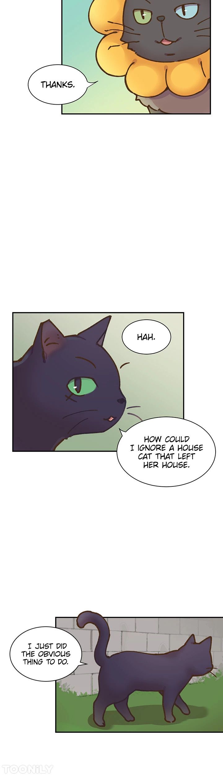 INVITED TO THE CAT CAFÉ Manhwa - Chapter 51 Page 16