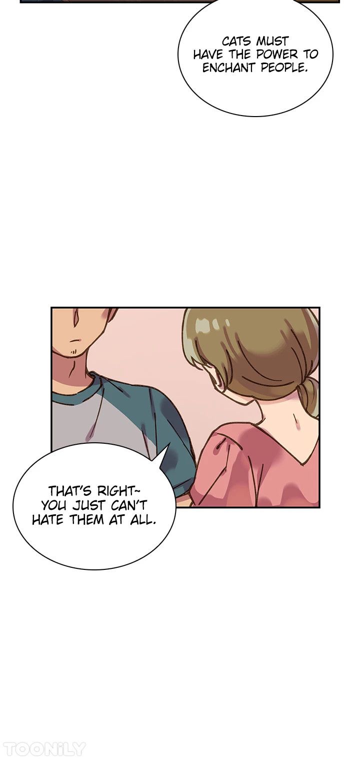 INVITED TO THE CAT CAFÉ Manhwa - Chapter 51 Page 7