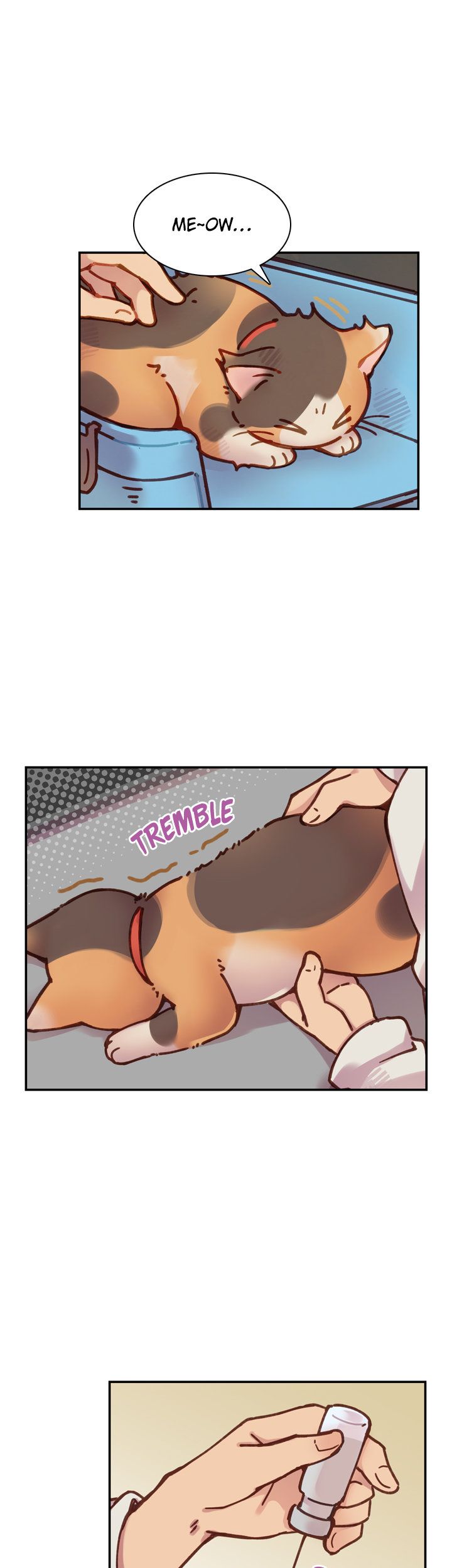 INVITED TO THE CAT CAFÉ Manhwa - Chapter 22 Page 3