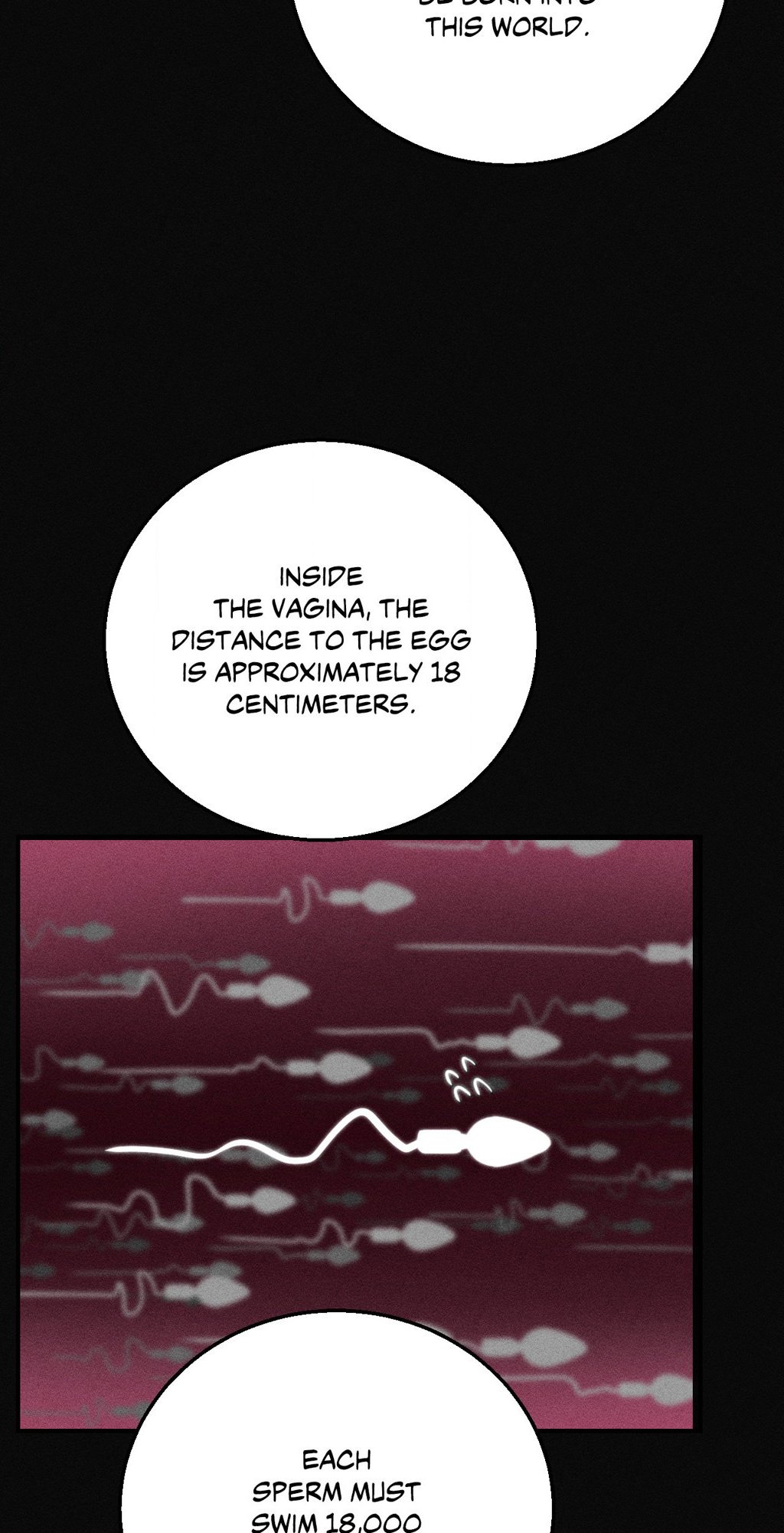 Lustful Games Manhwa - Chapter 77 Page 25