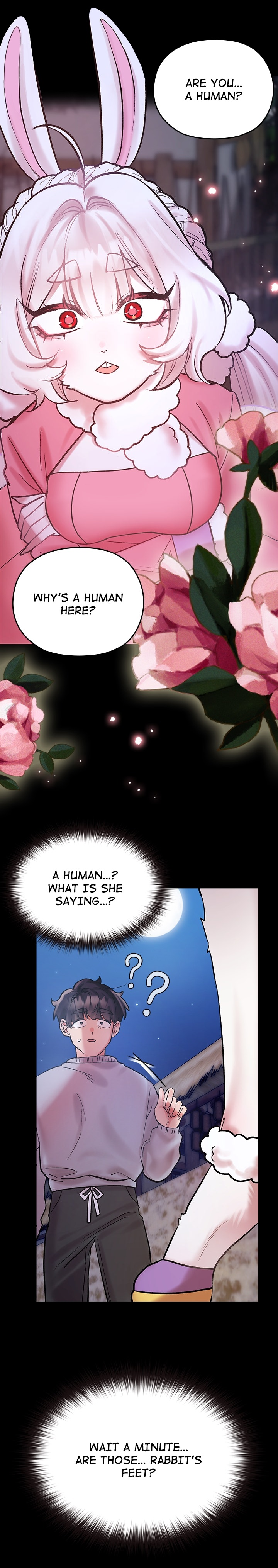 Tales of the Feral Maidens Manhwa - Chapter 0 Page 0